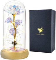 Galaxy Rose 彩色玫瑰 人造花美女與野獸玫瑰