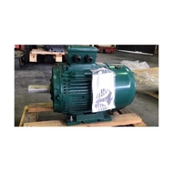 Techtop IE3 Motor 40HP (30KW) B3 3Phase Cast Iron RPM 1460 4Pole