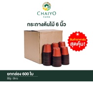 6-Inch Plant POT box Of 600 150 mm (6 inches) 600 pcs/box