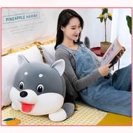 Gấu bông chó Husky le lưỡi Dễ thương Shiba mặc áo Cute