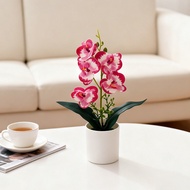 5-Head Artificial Potted Flowers Dopamine Butterfly Orchid Bonsais Fashion Table Decoration