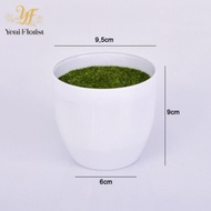 pot bunga plastik / vas bunga plastik / vas pot putih/pot+lumut