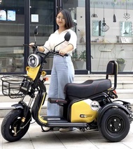 New Mini Electric Tricycle Ebike 3 Wheels 3 seater scooter Skuter elektrik Three wheels adult E bike