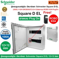 Consumer Unit Cabinet Separate Busbar Schneider Square D EL(SDEL112X12RCBO63T)12+12 Channels + Main 