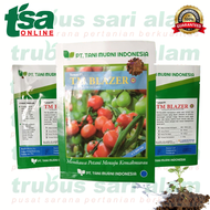 ORIGINAL TM BLAZER isi 1.500 biji dan 3.000 biji - Benih Bibit Sayuran Sayur Tomat F1 Hibrida