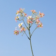 Mini Daphne flower, artificial flower for home living room decoration, wedding display, model house 