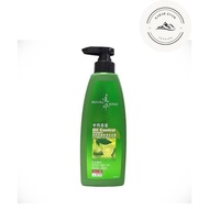 Royal Wind Oil Control Shampoo 400ml