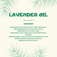 lavender (single oil) minyak atsiri