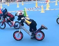 Strider 已改裝平衡車Gipsy Zero 碳纖鈴（原價一對3980）加泰國熊仔呔