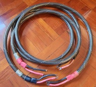 Wireworld Eclipse II 喇叭線