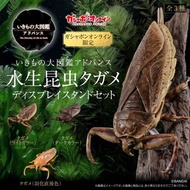 (全新) Bandai 生物大圖鑑 田鱉 大負子蟲 水生昆蟲 Gashapon online 限定