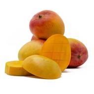 Fresh Australia R2E2 Mango Large (1 Pc)_SOFO
