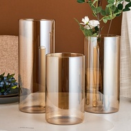 Large Straight Lucky Bamboo Glass Vase Transparent Lucky Bamboo Vase Living Room Lucky Bamboo Hydrop