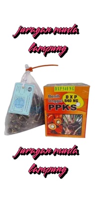 Benih bibit sawit PPKS 540 benih unggul isi 250 butir