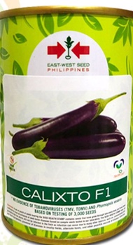 EASTWEST EAST WEST SEEDS CALIXTO F1 VARIETY EGGPLANT SEEDS, (50G CAN)