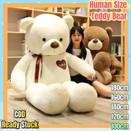 (COD) Ready Stock 160/180cm Good Quality Human size teddy bear plushie teddy bear for girlfriend big