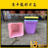 Yi Times Gardening+Macaron Colorful Square Pot 3 inch Square Pot/Pot/Flower Pot/Succulent/Cactus