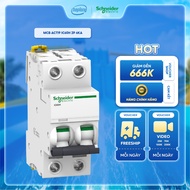 Automatic circuit breaker MCB 2 phase 10A cutting current 6kA series iC60N Acti9 series Schneider A9