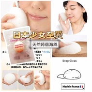Alepia 蒟蒻海綿