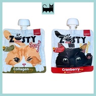 Numew Zesty Cat Soup Pouch Hydrating Kidney Enhance Cranberries Collagen 80g 猫咪补水汤包 鸡肉鱼肉蔓越莓胶原蛋白