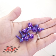 Proti GR5-6ly Titanium Snail with Sparse curls, 5mm sparse curls