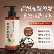 Official Cypress Leaf Ginger Shampoo Anti-shedding Hair Growth Genuine Product Oil Control Fluffy An