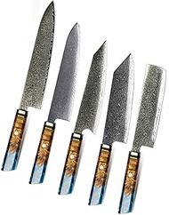 Japanese Kitchen Knives Knife Set Dishwasher Safe 67 Layers Damascus Steel VG-10 with Wood Resin Han