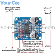 DY-AP3001 10W/20W/30W Class D DC Digital Power Amplifier Board Module