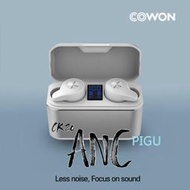 福利品特價 COWON CK20 PRO 藍芽耳機 降噪 公司貨 真無線 耳機 可電量顯示 另售CM5 CX5