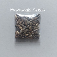 Maramais Seeds Per Pack