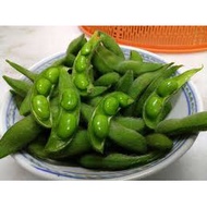 Japanese Edamame seeds-Biji Benih Kacang Edamame 30 seed