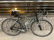 澳洲Azzurri碳纖維公路車，不是giant merida java