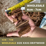 [WholeSale] Driftwood (XXXS 4cm-7cm) for water plant / aquarium