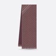 Dior marron oblique wool scarf 圍巾