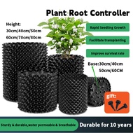 Root Controller Thickened Drainage Breathable Root Barrier Strong & Durable Prevent Root Rot控根围树板防烂根