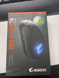 Aorus M2