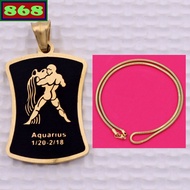 Aquarius pendant - White stainless steel Aquarius with gold solid stainless steel chain necklace + g