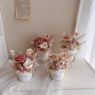 胭脂奶茶圓盆花