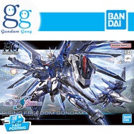 HG Rising Freedom Gundam [Gundam Gang]