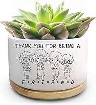 Friend Gift for Women, Succulent Plant Pot, Cactus Flower Planter Gifts, Friendship Thank You Gift f