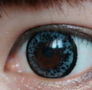 Bigeye 20MM I.Fairy Milky Gold Korean Color Contact Lens softlens viral douyin