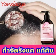 YANXIAOYA แชมพูขจัดรังแค500ml แชมพูสมุนไพร แชมพูสระผม ประกอบด้วยสารสกัดจากดอกซากุระ โฟมละเอียด คุมมั