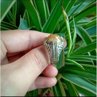 CINCIN PERMATA MANI GAJAH MADU🔥🔥🔥