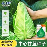 [Local Growing] Local Growing] Cabbage Seeds Cabbage Seeds Cabbage Seeds Cabbage Seeds Cabbage Seeds