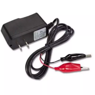 Motorcycle battery charge 12Volts