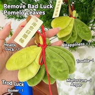 Remove Bad Luck Pomelo Leaf Good Luck Pomelo Remove Bad Luck and Receive Good Luck Keychain