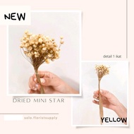 1 IKAT MINI STAR Bunga Kering Dried Flower Import GLIXIA Mini Daisy Properti Foto Mahar Dekorasi Rus