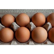 Fresh C Size Eggs / Tray (30 pcs)