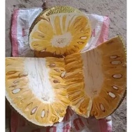 NANGKA MATANG 1 BUAH UTUH