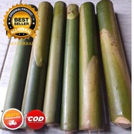 BATANG KECOMBRANG 1kg